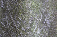 Stockerston fibreglass roof work